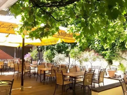 照片: Habanita - Café, Bistro, Restaurant